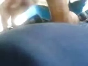 ქერა, რასებს შორის