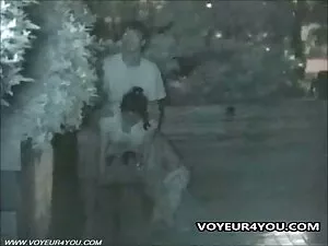 კრემიანი ცხოველთა პო ...