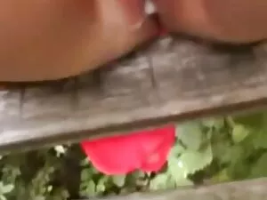 მოყვარული,, პირველი  ...